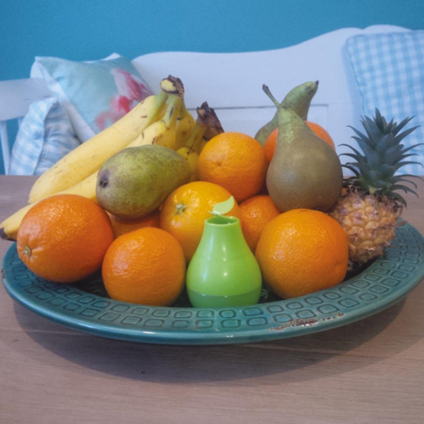 X fruitvliegjesval 20ml