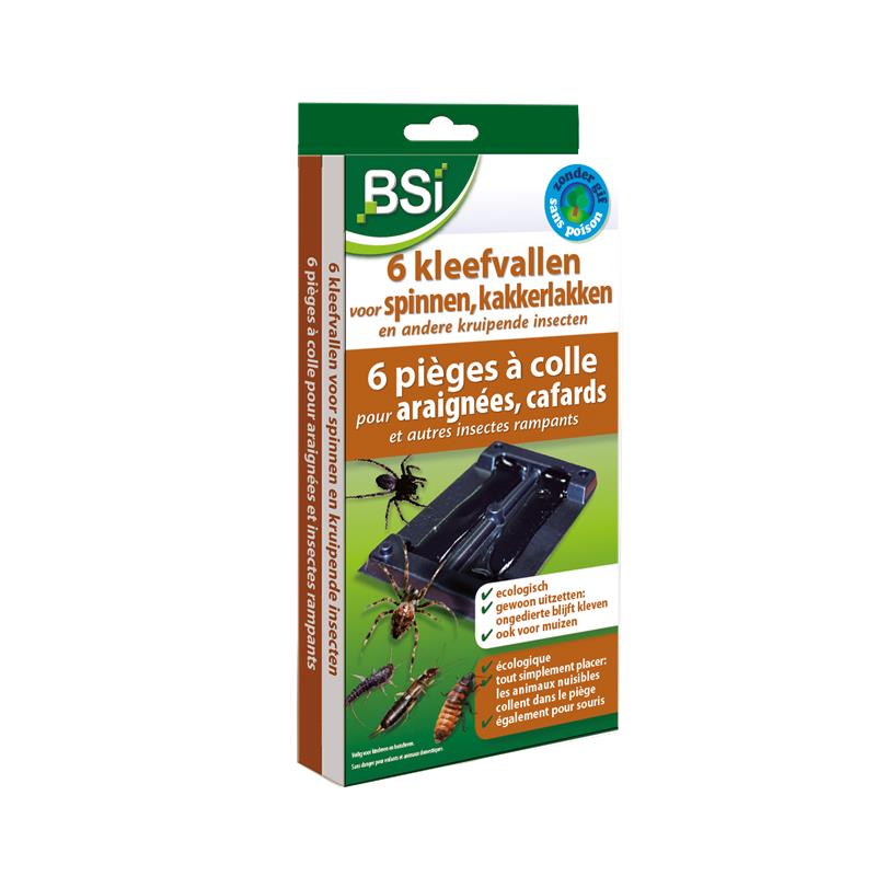 6 Kleefvallenvoor spinnen