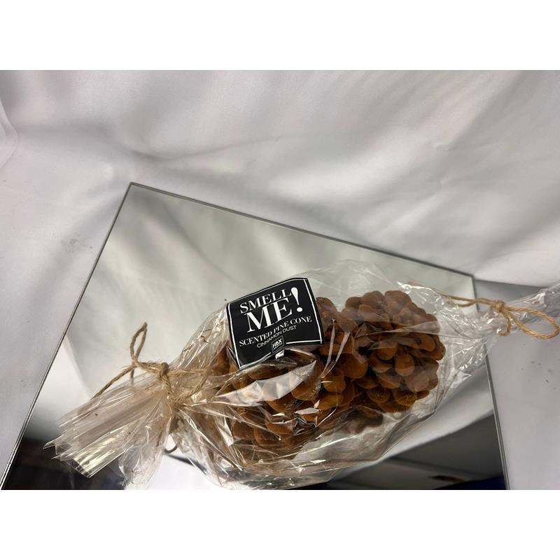 Pinecone Pinus Pinea Cinnamon-kaneelgeur verpakt per 2 stuks