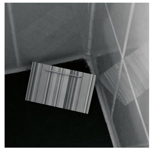 HGX zilvervisjesval doosje a 2 stuks