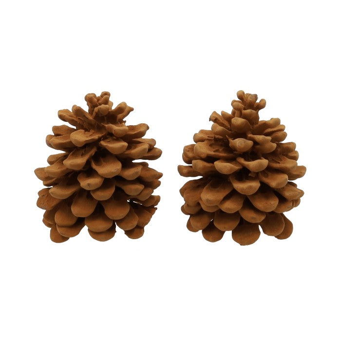Pinecone Pinus Pinea Cinnamon-kaneelgeur verpakt per 2 stuks
