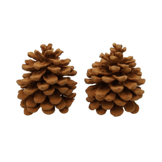 Pinecone Pinus Pinea Cinnamon-kaneelgeur verpakt per 2 stuks