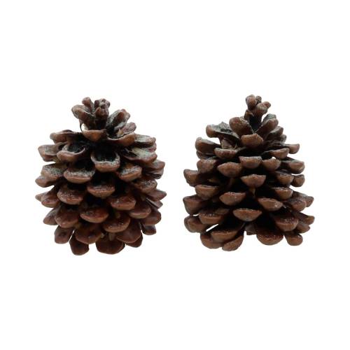Pinecone Pinus Pinea met dennengeur-verpakt per 2 stuks